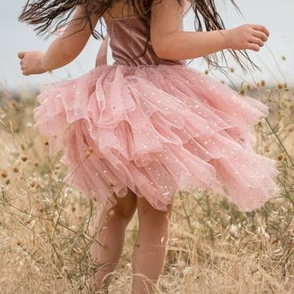 Clara Ballerina Dress - Magnolia BabyDress