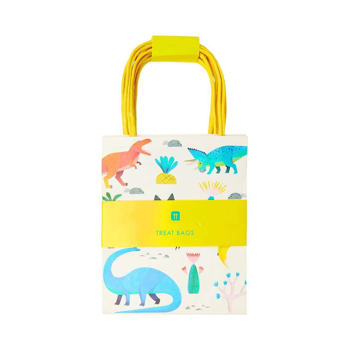 Dinosaur Party Goodie Bags - 8 Pack - Magnolia BabyParty Supplies