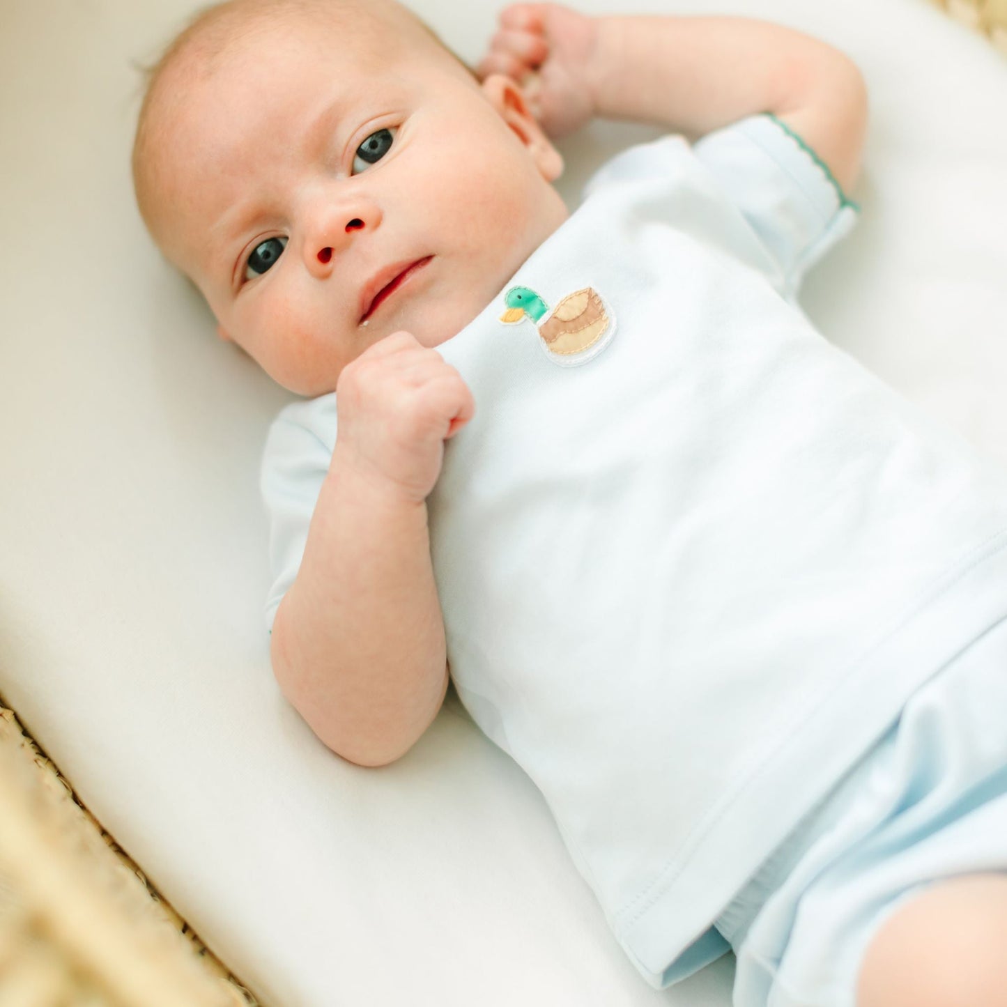 Mini Mallard Embroidered Diaper Cover Set - Light Blue - Magnolia BabyDiaper Cover