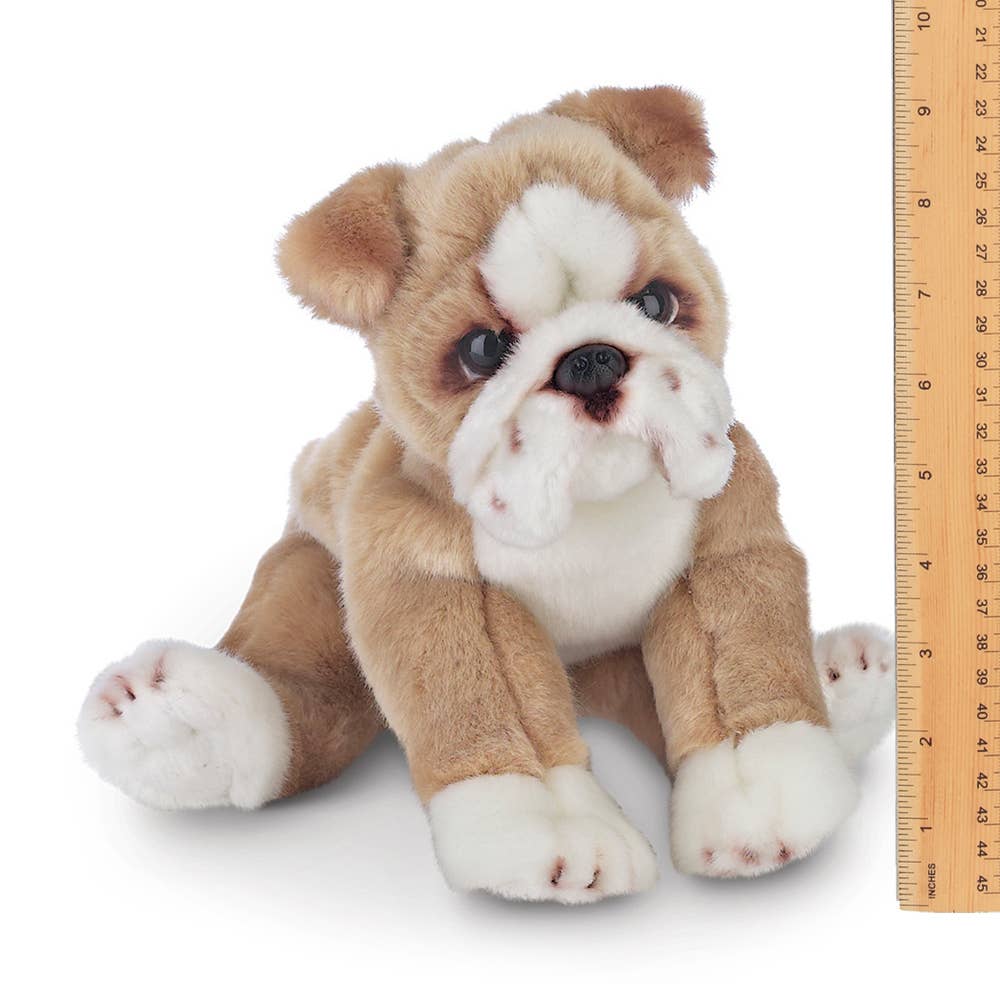 Tug the Bulldog - Magnolia BabySoft Toy