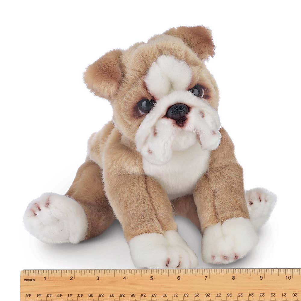Tug the Bulldog - Magnolia BabySoft Toy