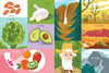 100 First Words for Little Californians - Magnolia BabyBook