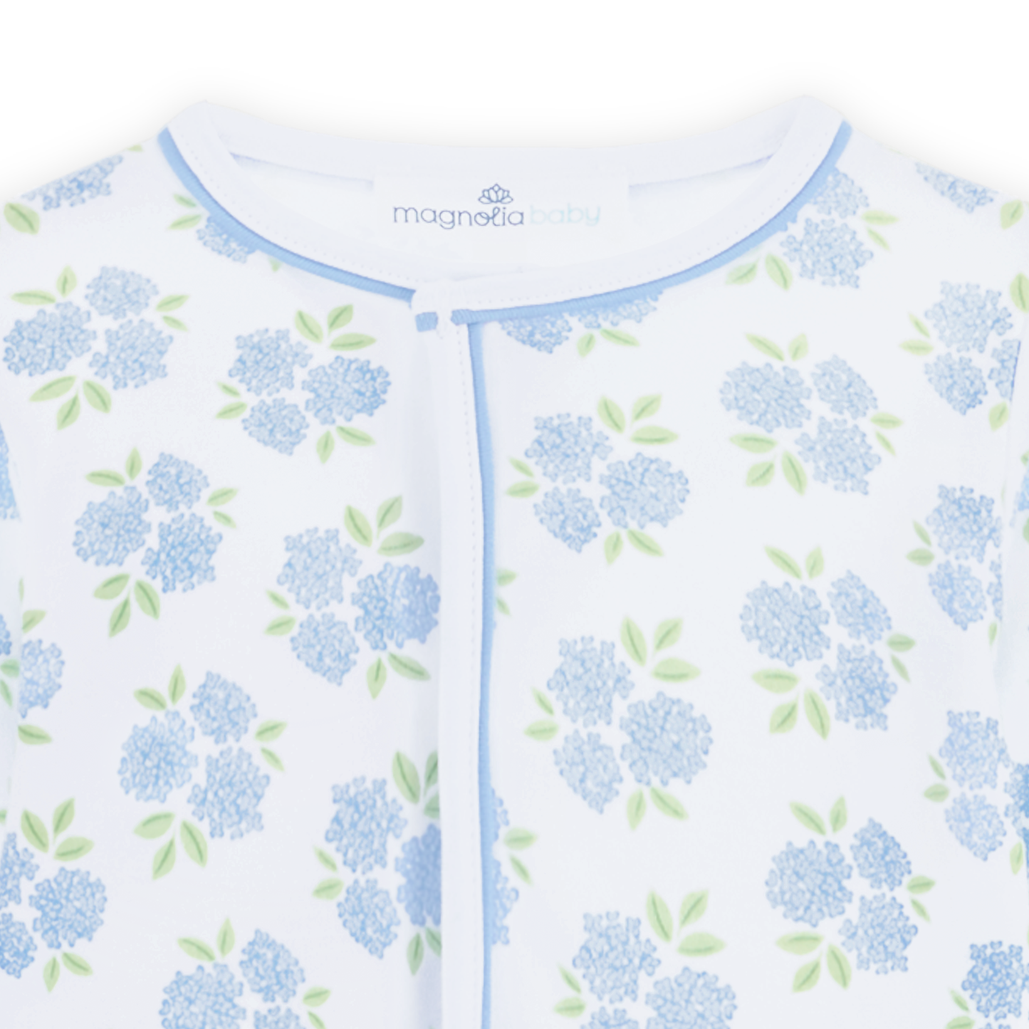 Dreamy Hydrangeas Print Converter