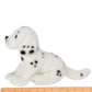 Diggs the Dalmation