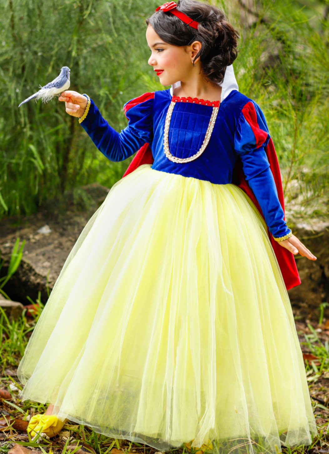 Fairest Princess Deluxe Costume