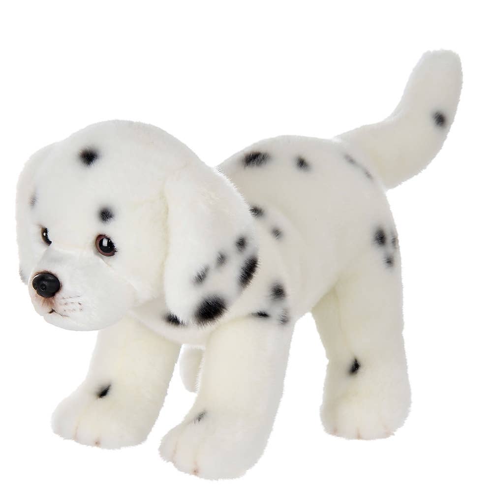 Diggs the Dalmation