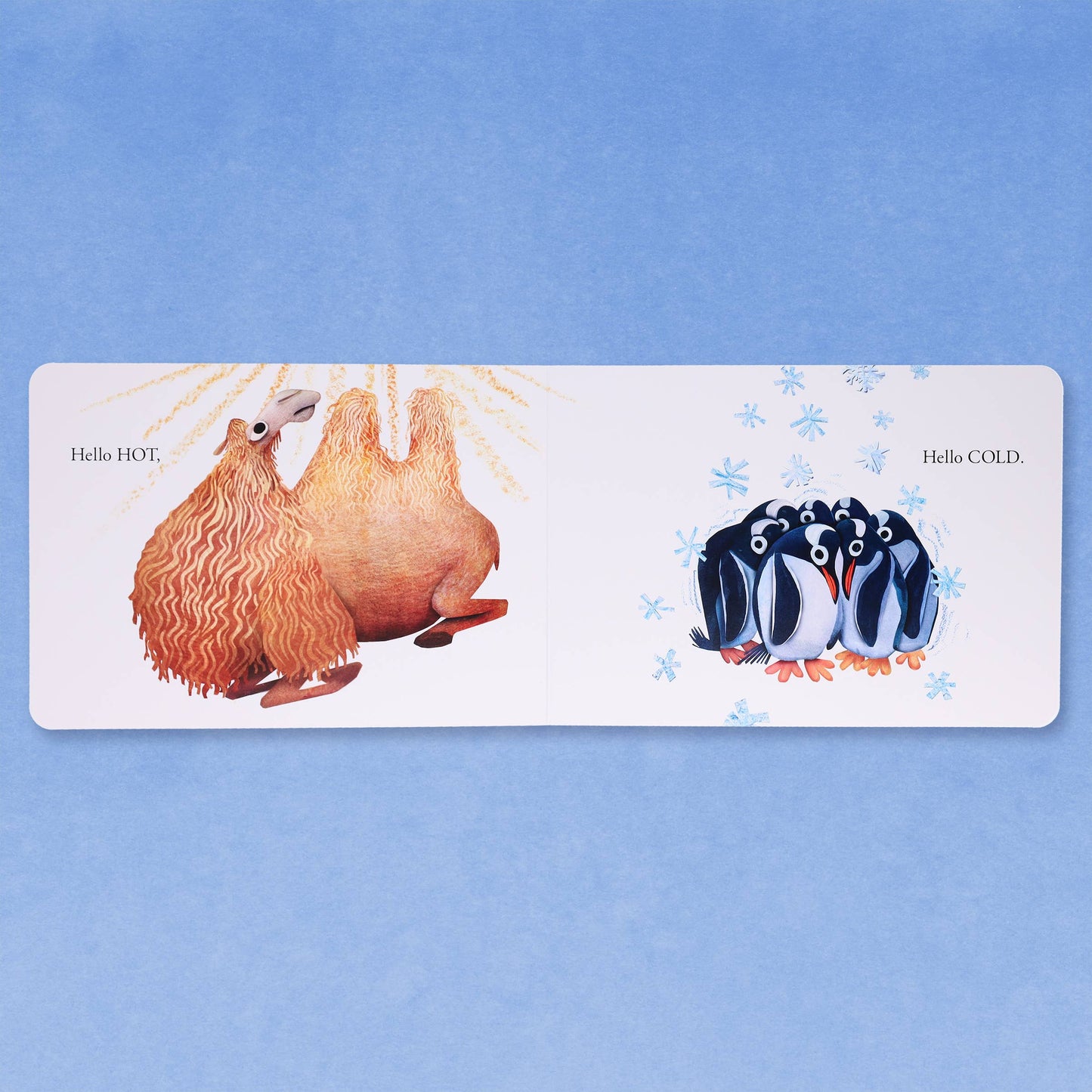 Hello Hello Opposites