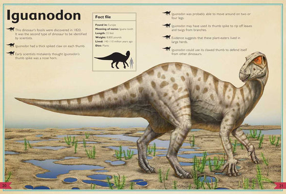 Magnificent Book of Dinosaurs