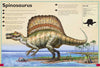 Magnificent Book of Dinosaurs