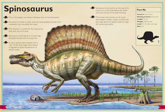 Magnificent Book of Dinosaurs