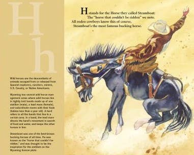 A STATE of WYOMING picture book - Magnolia BabyBook