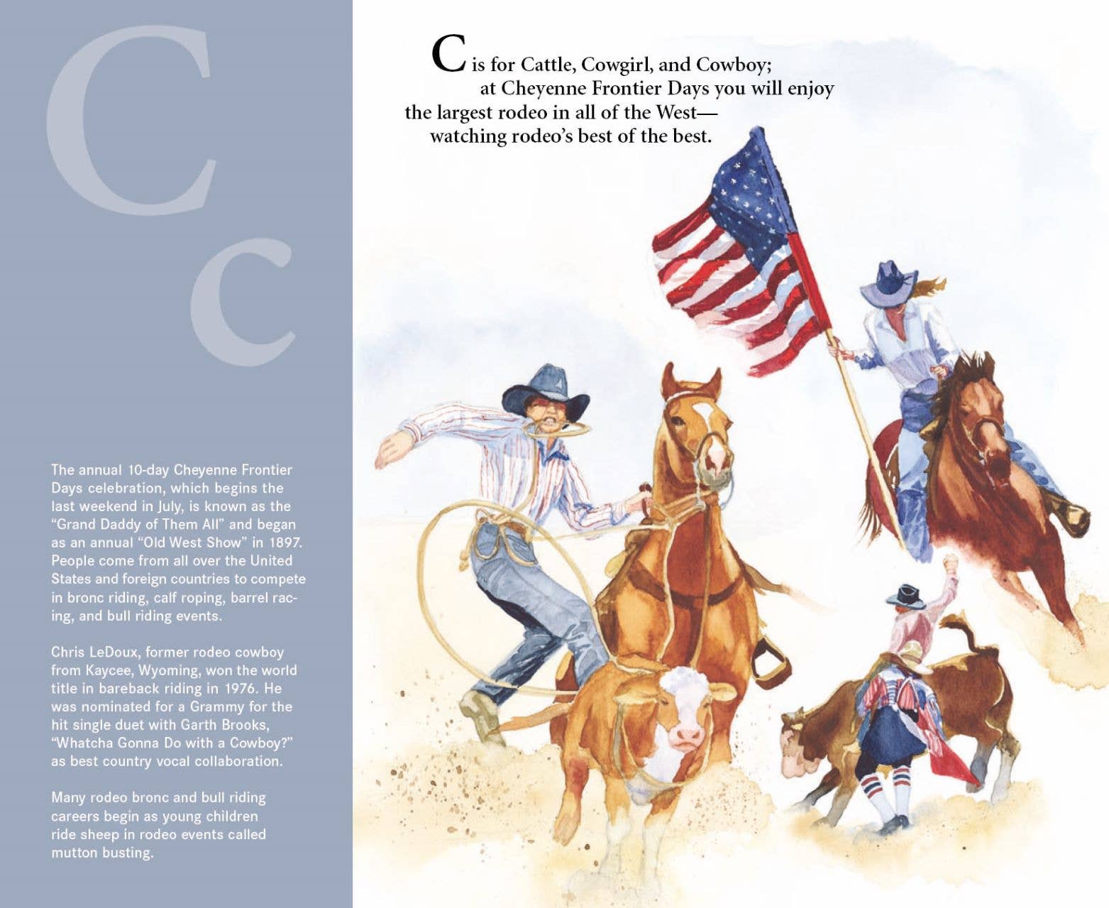 A STATE of WYOMING picture book - Magnolia BabyBook