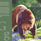 A STATE of WYOMING picture book - Magnolia BabyBook
