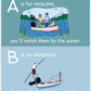 ABC's of Fishing Book - Magnolia BabyBook