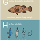 ABC's of Fishing Book - Magnolia BabyBook