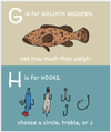 ABC's of Fishing Book - Magnolia BabyBook