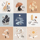 Alphabet Adventure Book - Magnolia BabyBook