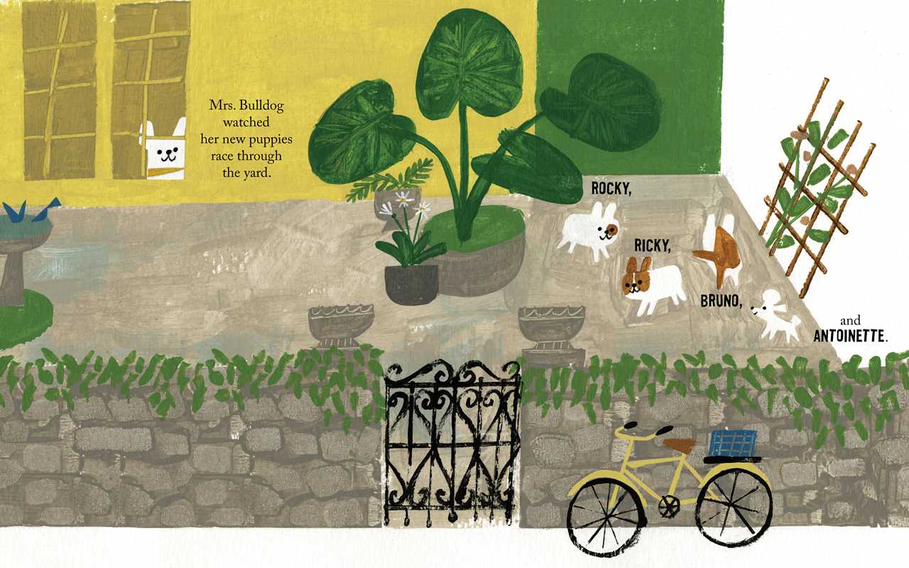 Antoinette by Kelly DiPucchio - Magnolia BabyBook