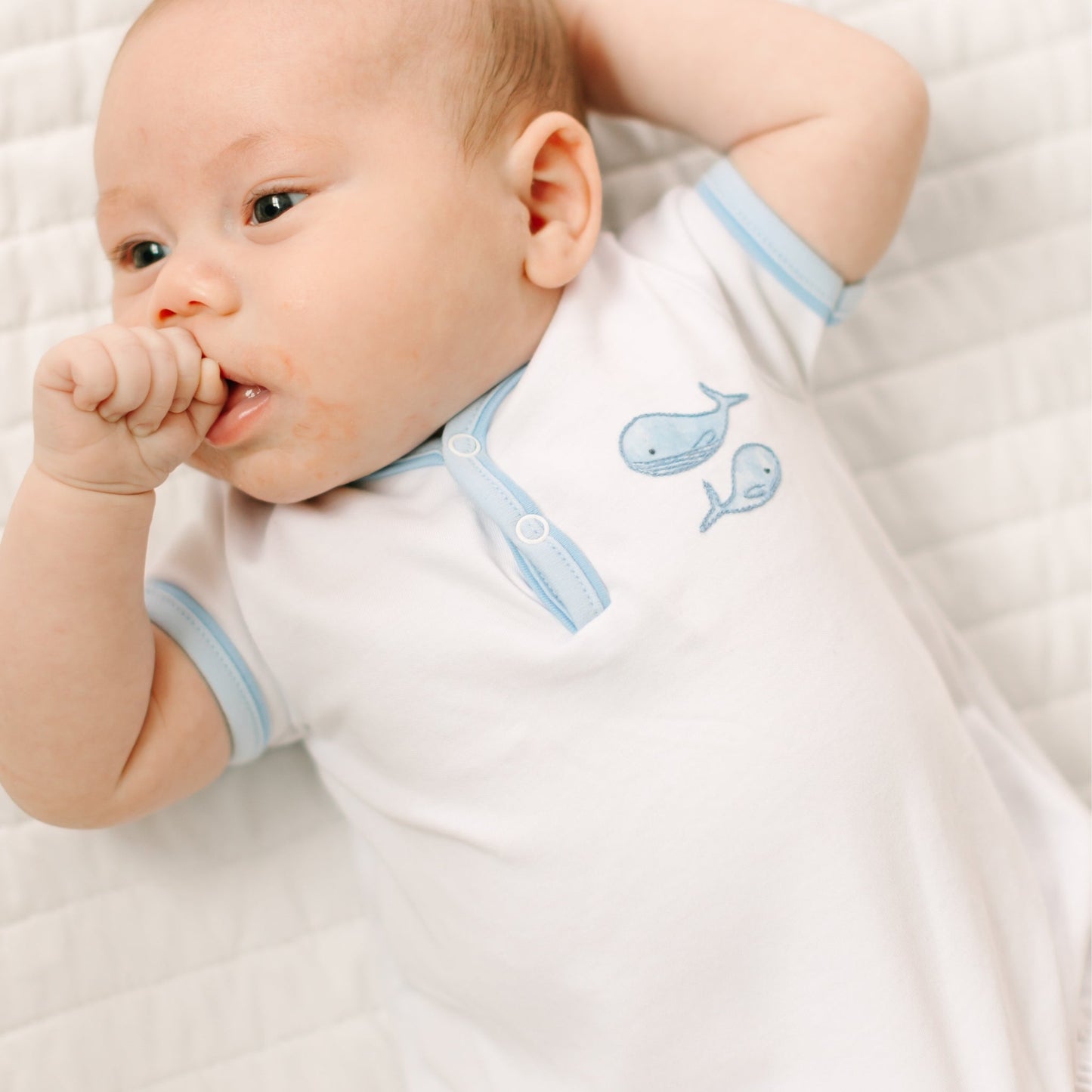 Azure Whales Bubble - Light Blue - Magnolia BabyBubble