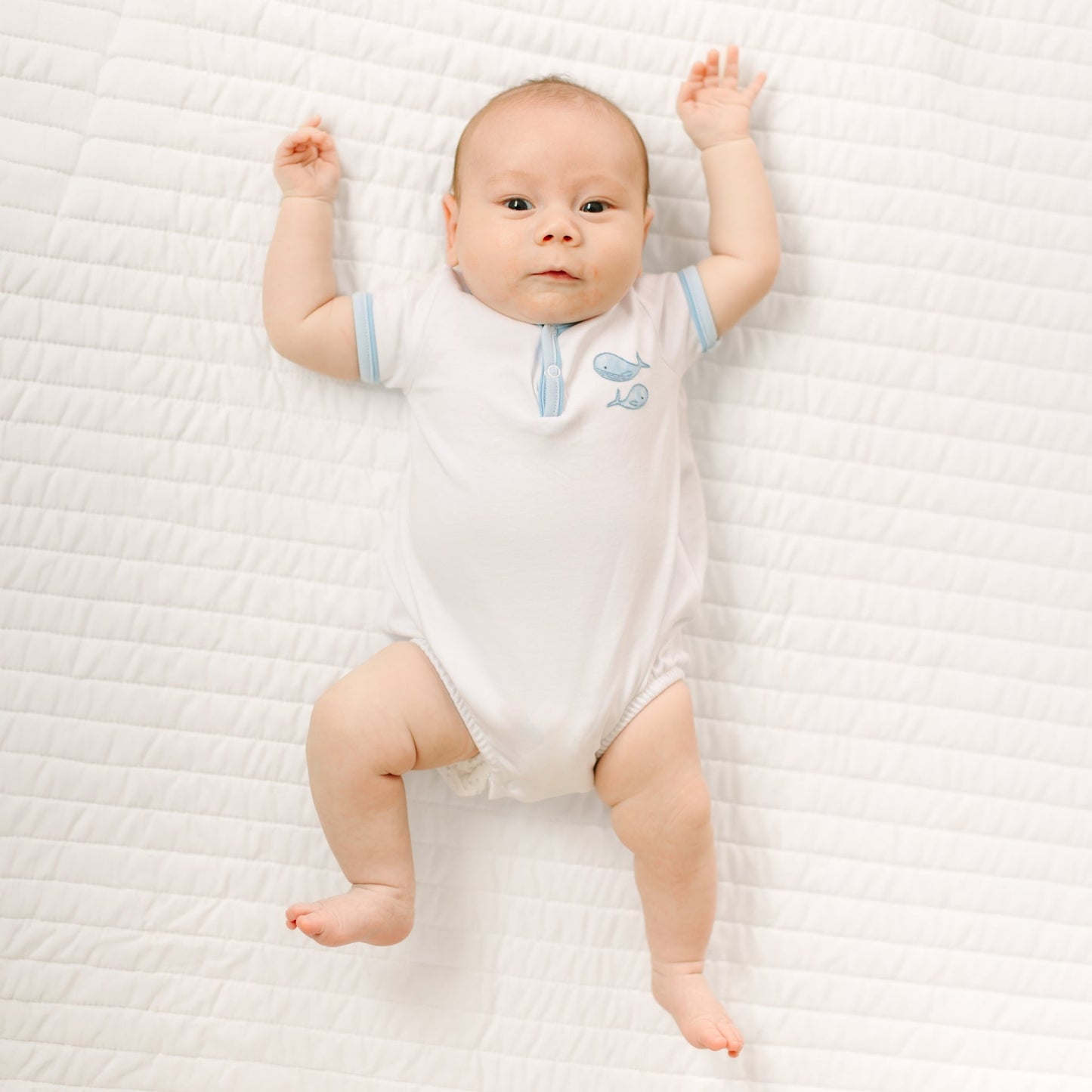 Azure Whales Bubble - Light Blue - Magnolia BabyBubble