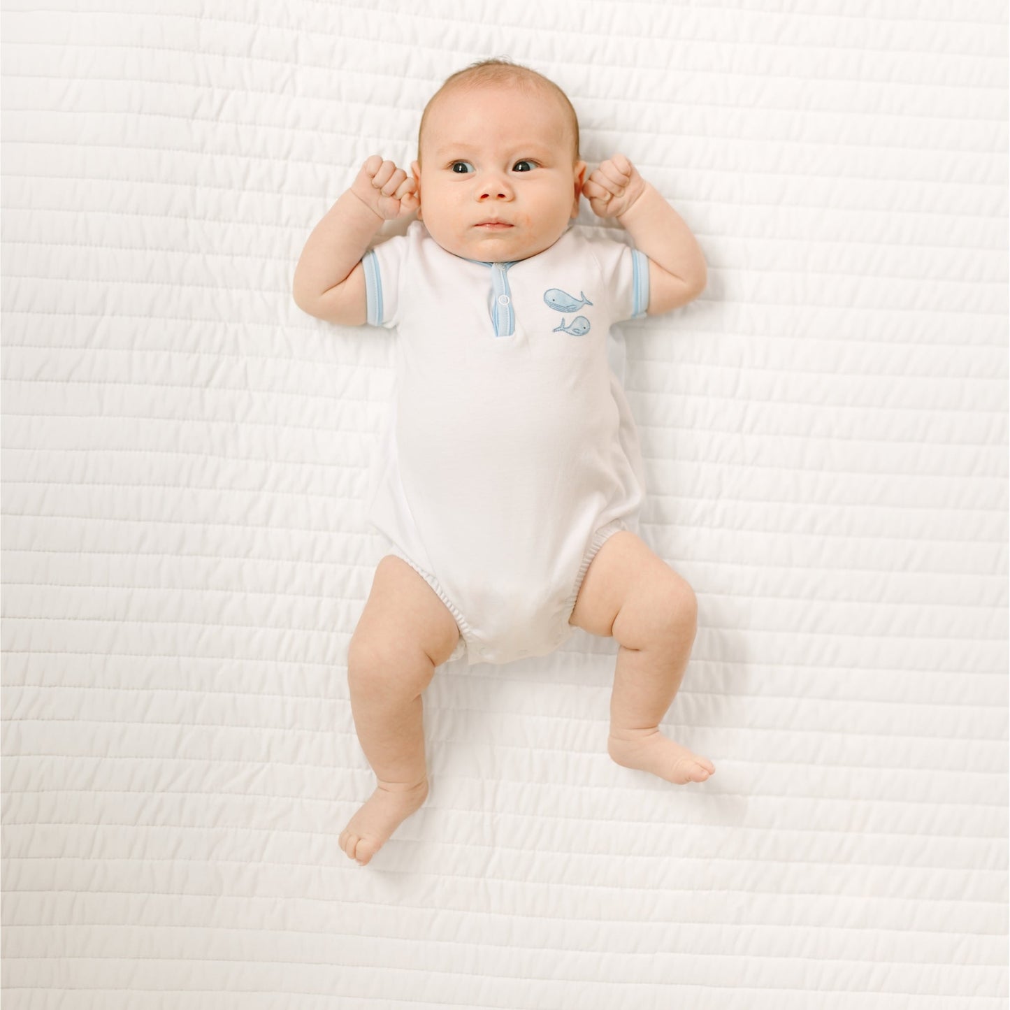 Azure Whales Bubble - Light Blue - Magnolia BabyBubble