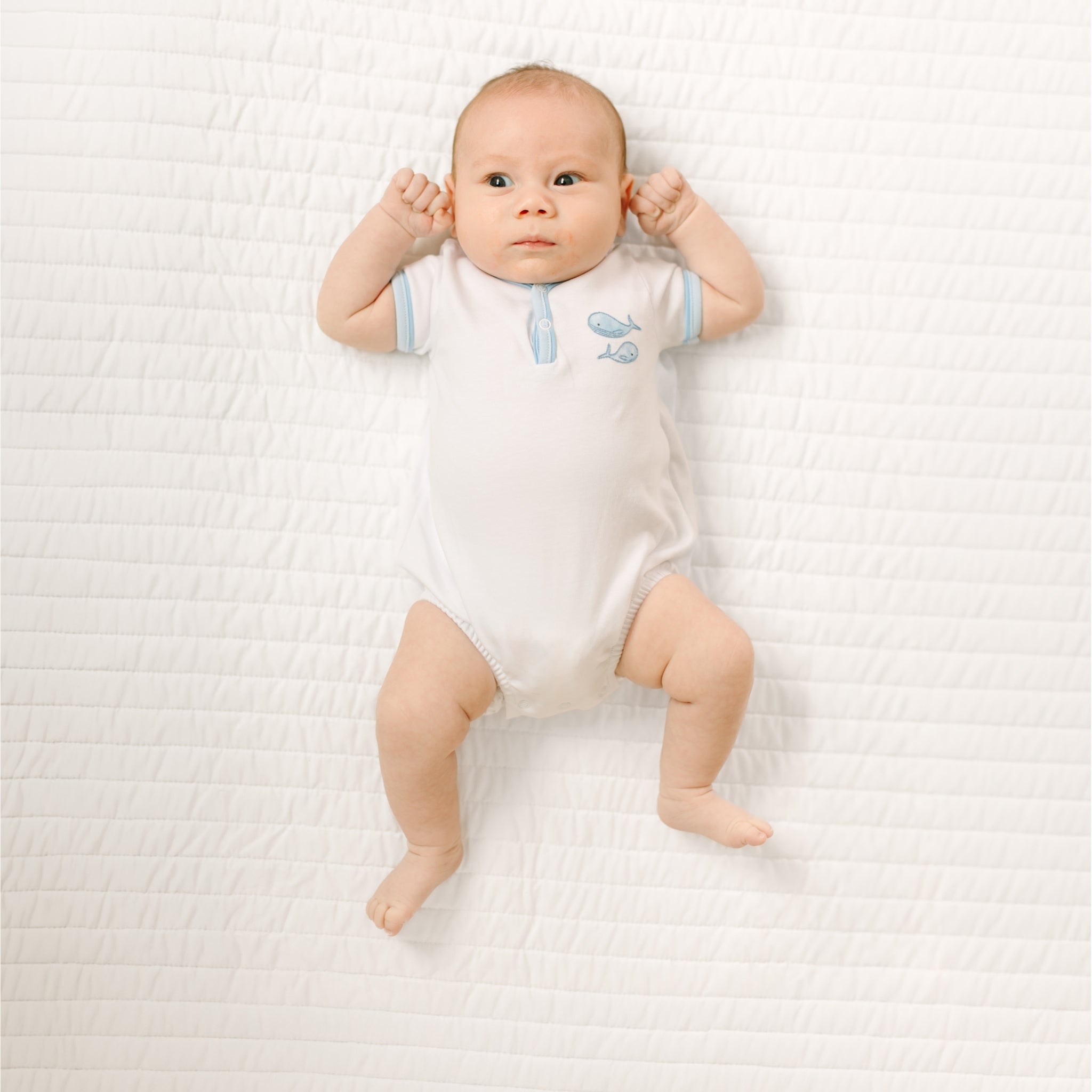 Azure Whales Bubble - Light Blue - Magnolia BabyBubble