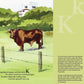 B is for Buckaroo picture book: A Cowboy Alphabet - Magnolia BabyBook