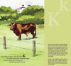 B is for Buckaroo picture book: A Cowboy Alphabet - Magnolia BabyBook