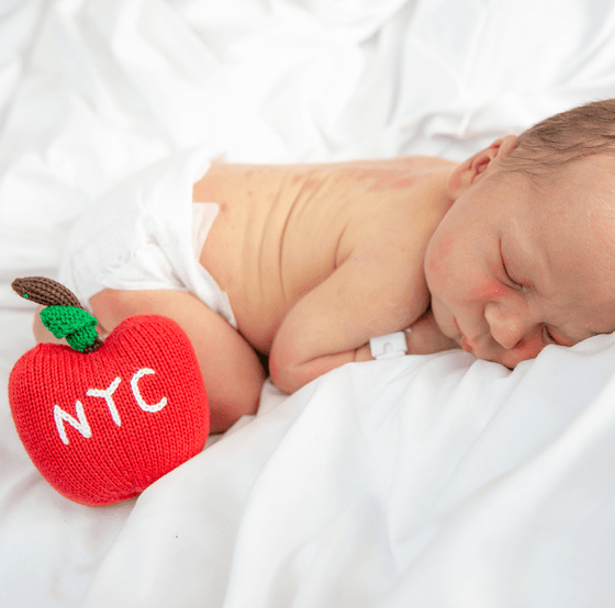 Big Apple Rattle - Magnolia BabyRattle