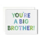 Big Brother Greeting Card for New Big Brother - Magnolia BabyStationery
