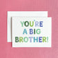 Big Brother Greeting Card for New Big Brother - Magnolia BabyStationery