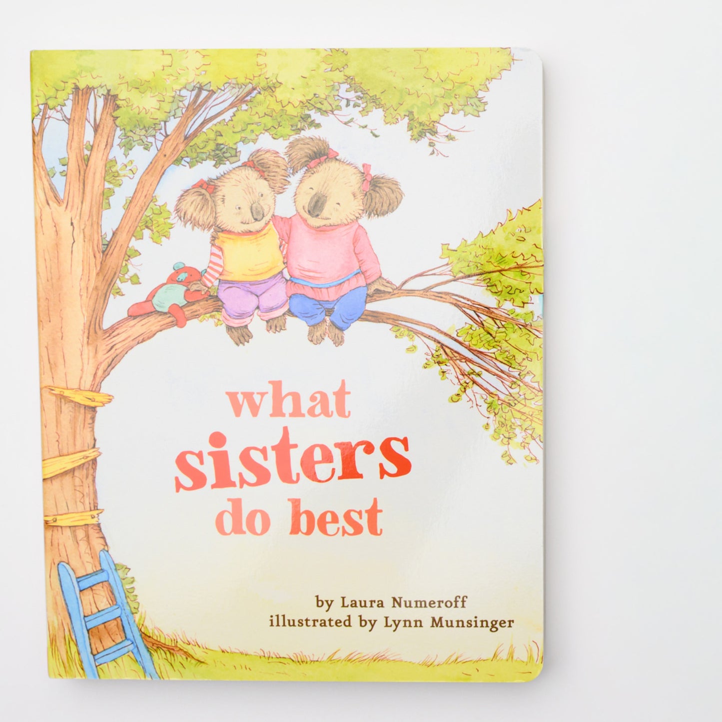 Big Sister Gift Set - Book + Hair Clips + Card