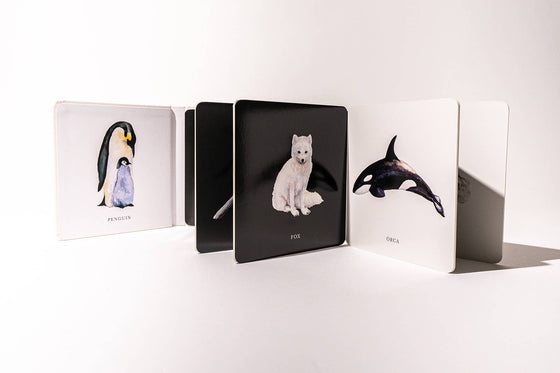 Black and White Contrast Book for Baby - Magnolia BabyBook