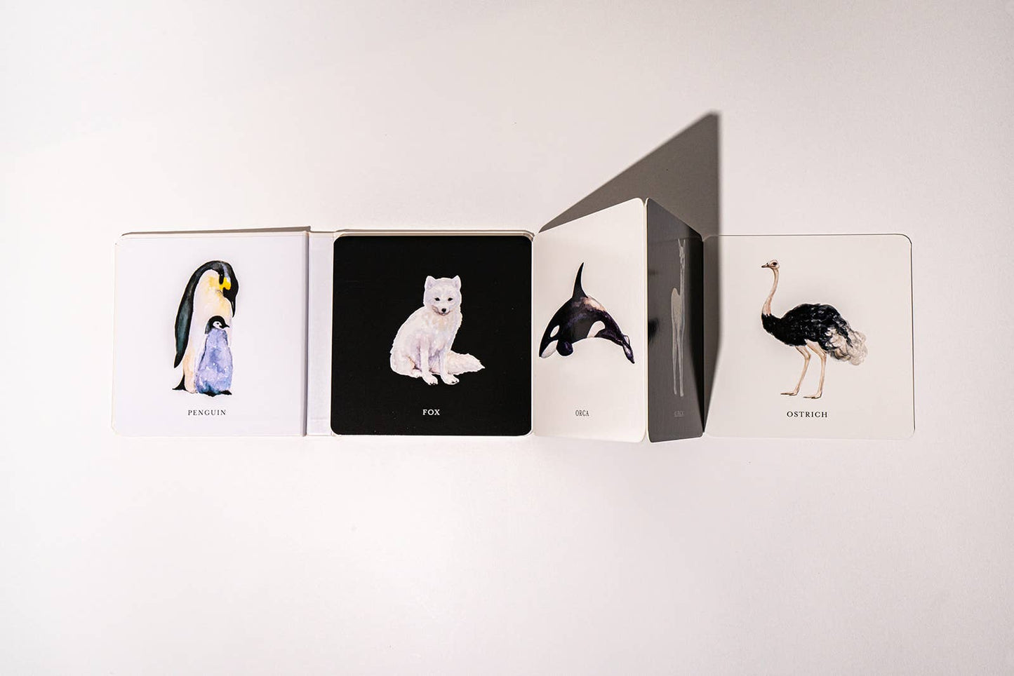 Black and White Contrast Book for Baby - Magnolia BabyBook
