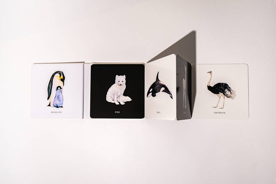 Black and White Contrast Book for Baby - Magnolia BabyBook