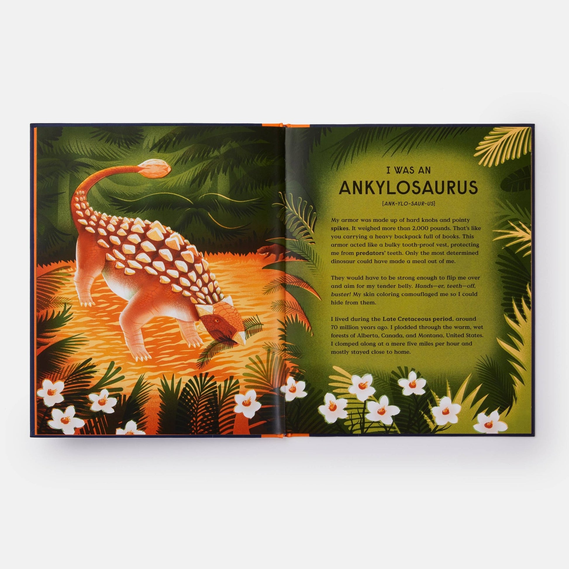 Book of Dinosaurs: 10 Record - Breaking Prehistoric Animals - Magnolia BabyBook