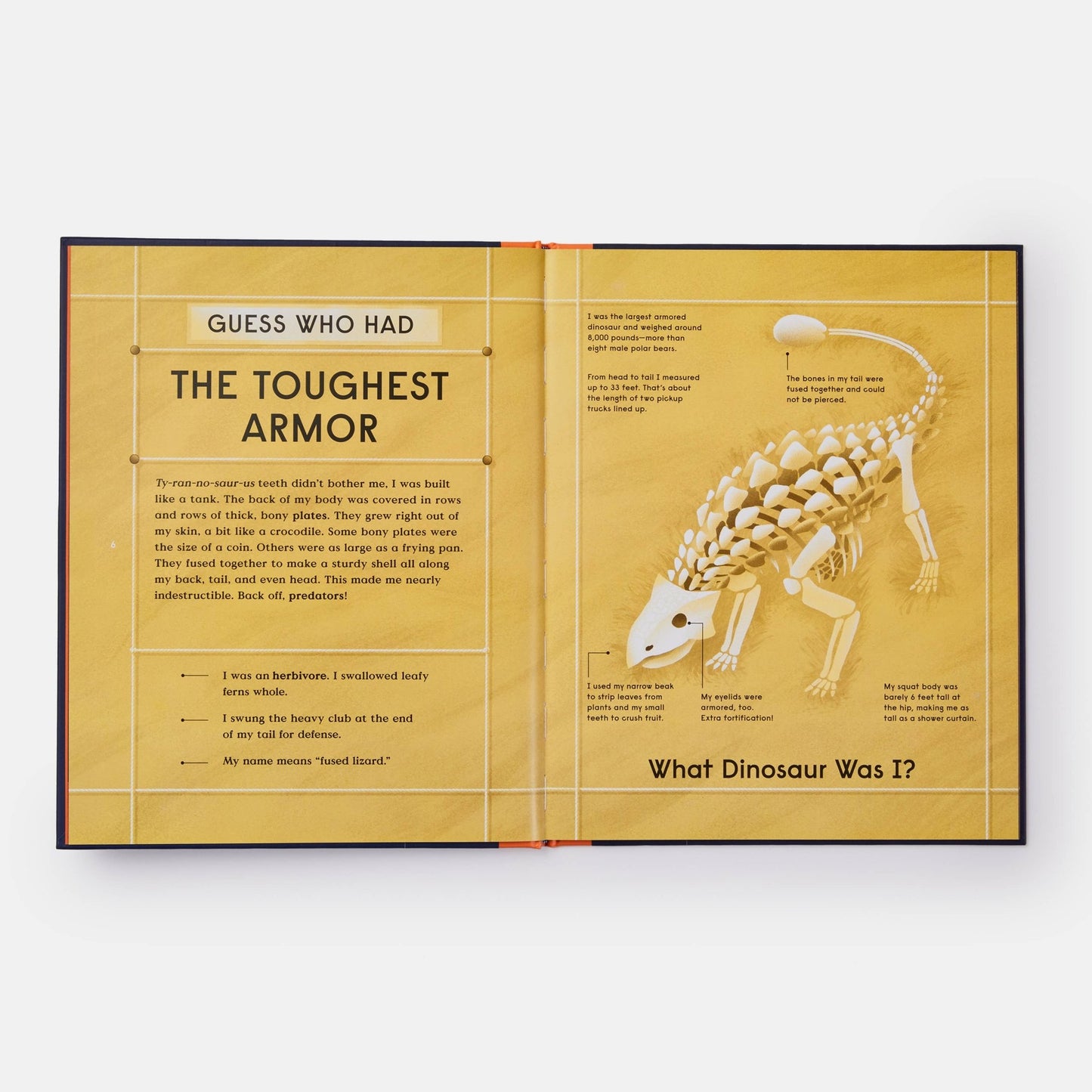 Book of Dinosaurs: 10 Record - Breaking Prehistoric Animals - Magnolia BabyBook