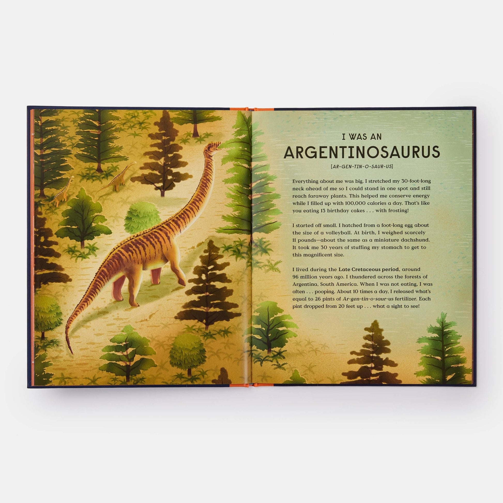 Book of Dinosaurs: 10 Record - Breaking Prehistoric Animals - Magnolia BabyBook