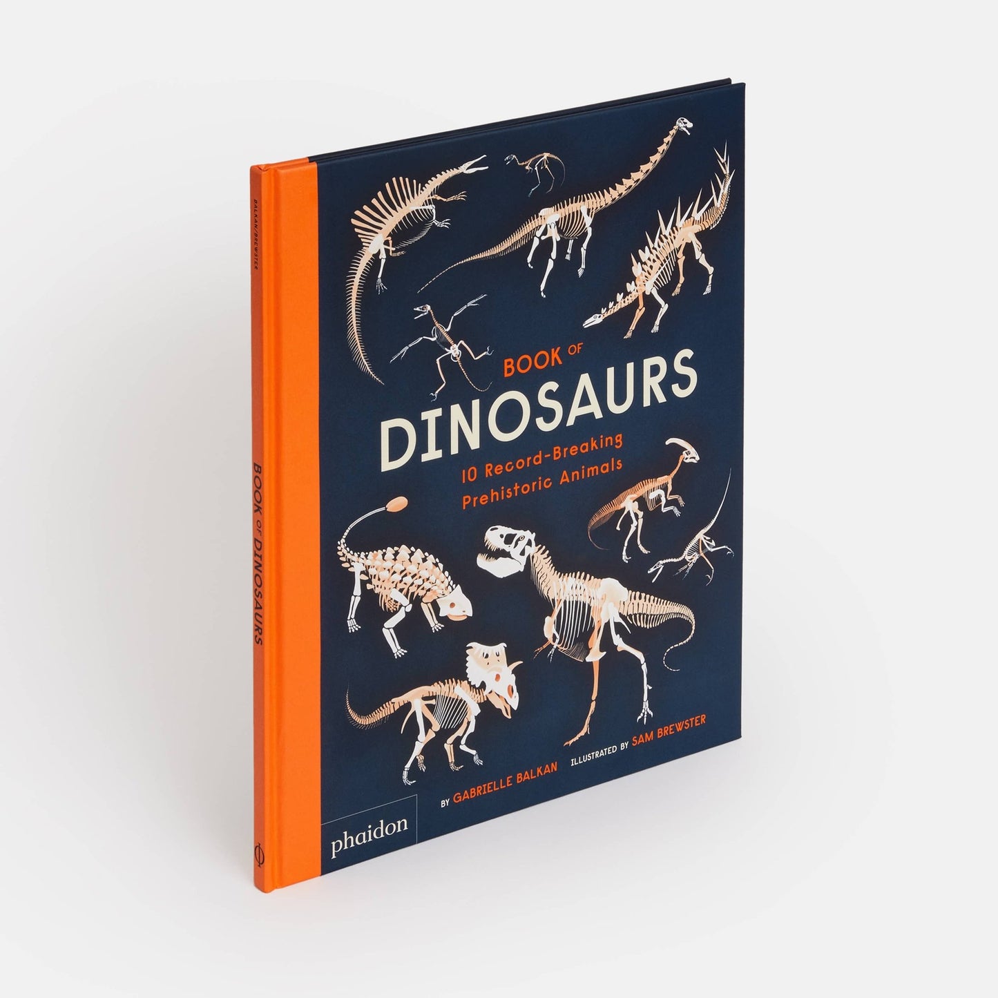 Book of Dinosaurs: 10 Record - Breaking Prehistoric Animals - Magnolia BabyBook
