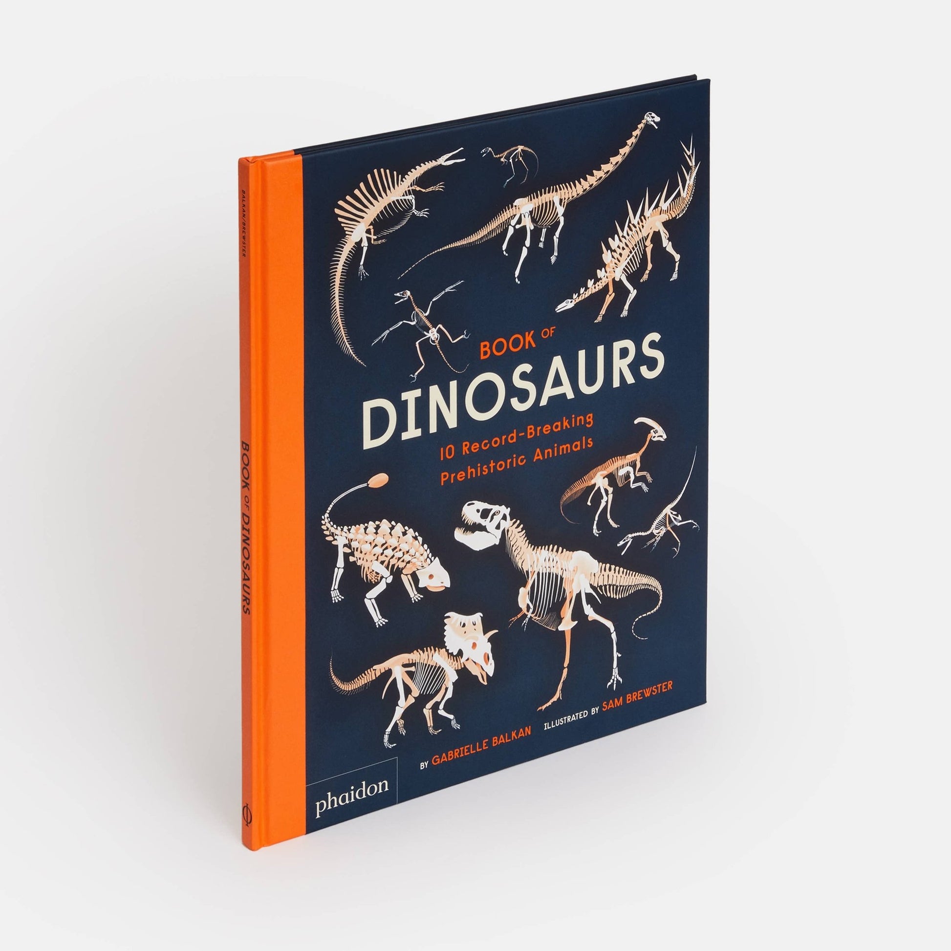 Book of Dinosaurs: 10 Record - Breaking Prehistoric Animals - Magnolia BabyBook