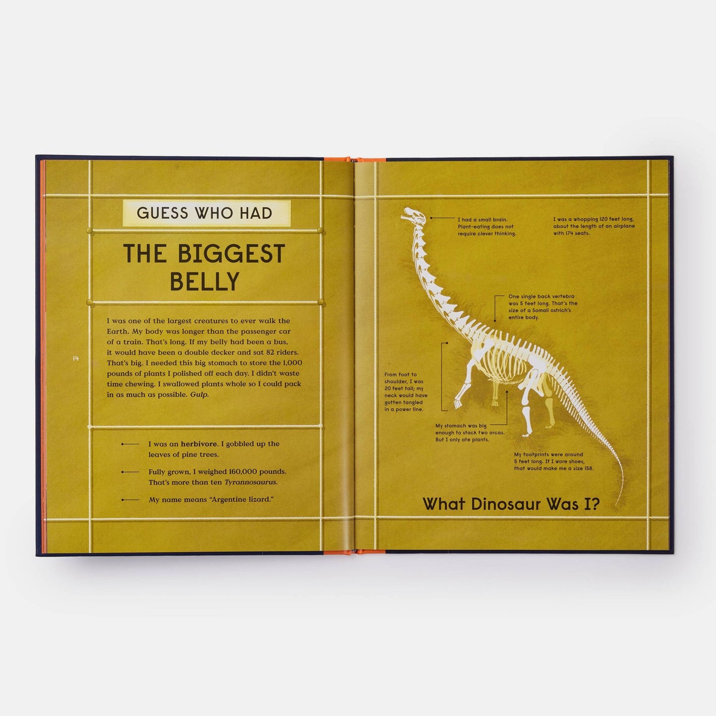 Book of Dinosaurs: 10 Record - Breaking Prehistoric Animals - Magnolia BabyBook
