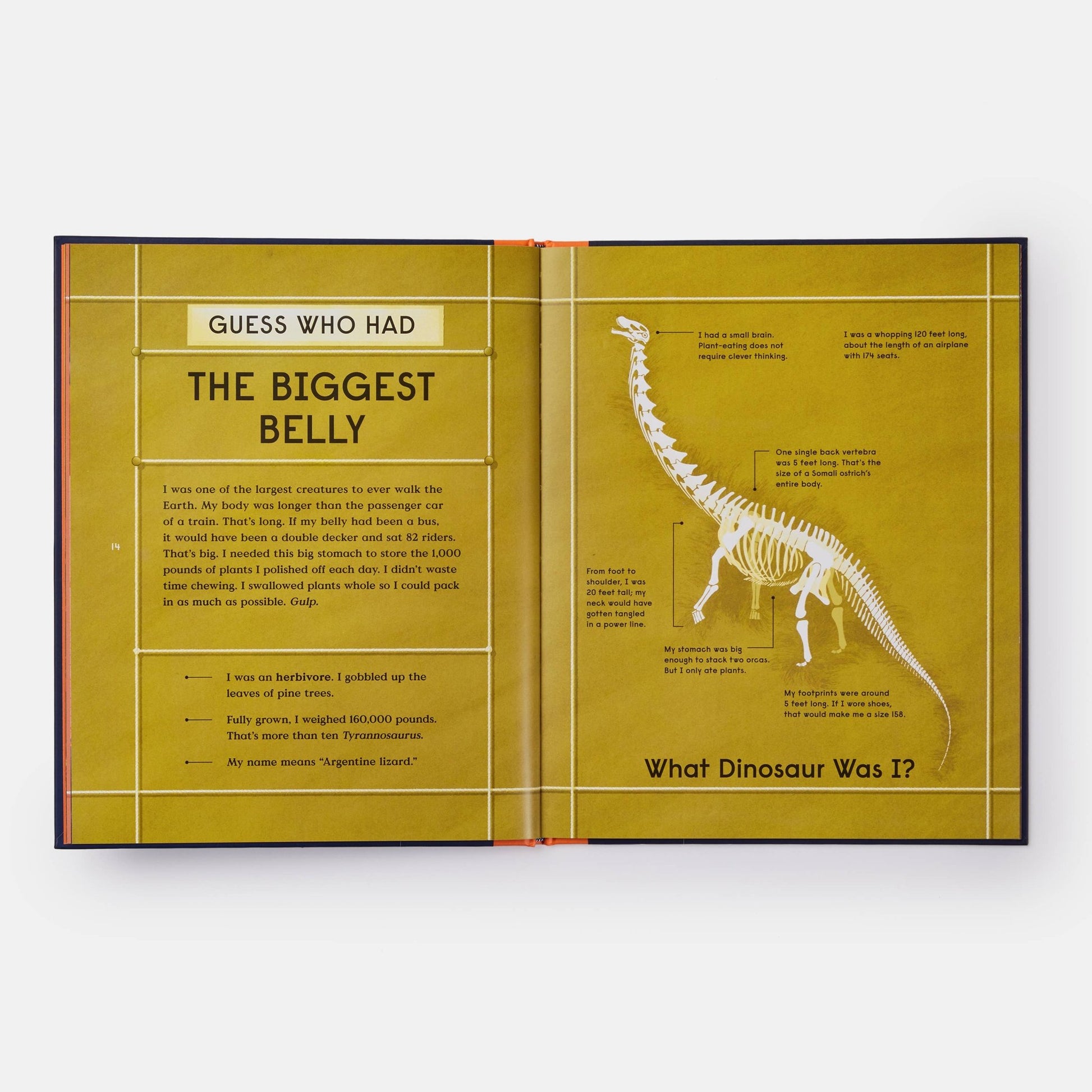 Book of Dinosaurs: 10 Record - Breaking Prehistoric Animals - Magnolia BabyBook