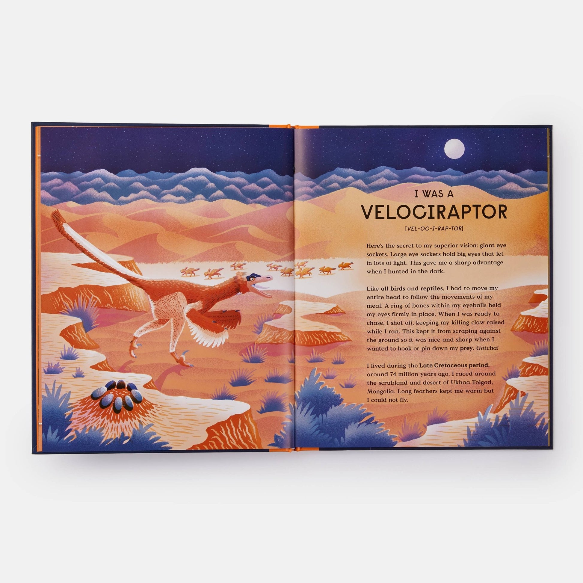 Book of Dinosaurs: 10 Record - Breaking Prehistoric Animals - Magnolia BabyBook