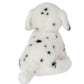 Diggs the Dalmation