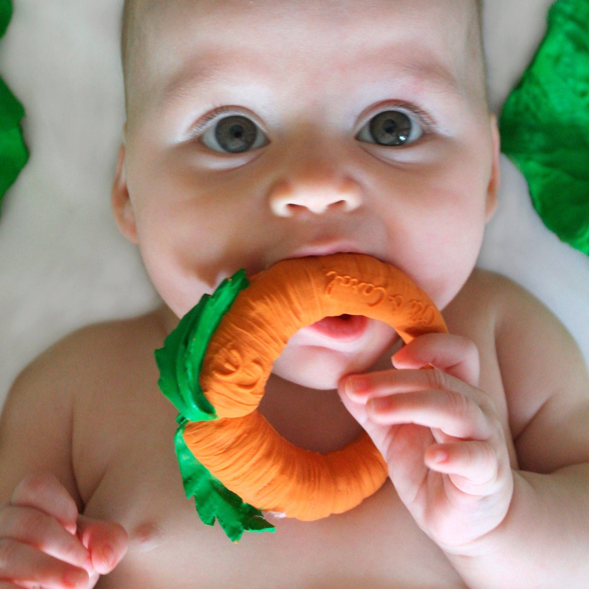 Cathy the Carrot - Magnolia BabyTeether
