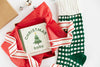 Christmas Baby Board Book - Magnolia BabyBook
