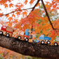 Construction Truck Wind - ups - Magnolia BabyWooden Toy