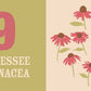 Count On Tennessee : Baby’s First Book About the Volunteer - Magnolia BabyBook