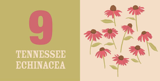 Count On Tennessee : Baby’s First Book About the Volunteer - Magnolia BabyBook