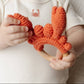Crab Teething Rattle - Magnolia BabyTeether